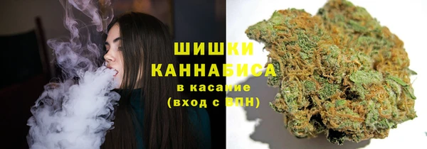 ПСИЛОЦИБИНОВЫЕ ГРИБЫ Алзамай
