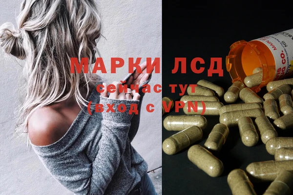 стафф Алексин